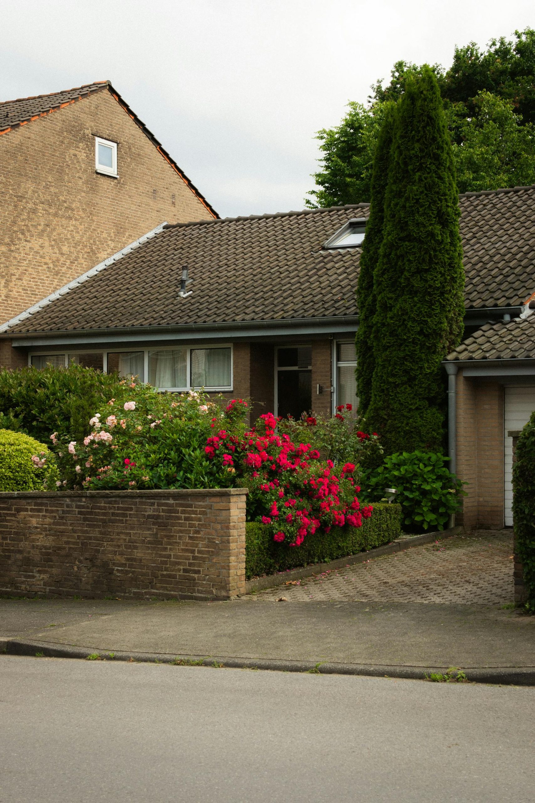Real estate broker